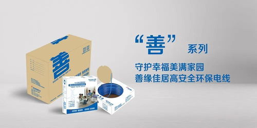 家博會(huì)來(lái)了，家裝電線怎么選？這里有你想要的答案